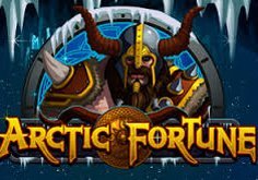 Arctic Fortune Slot